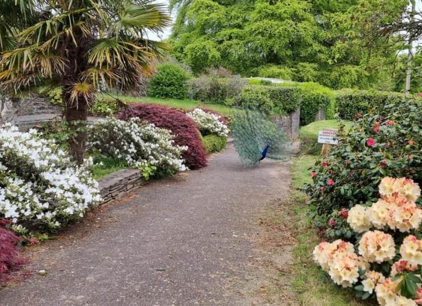 Outdoor view Photo
