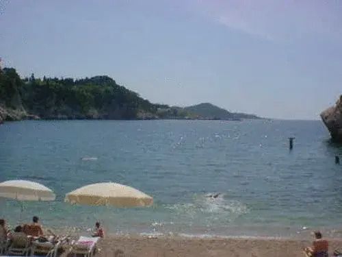Beach Photo