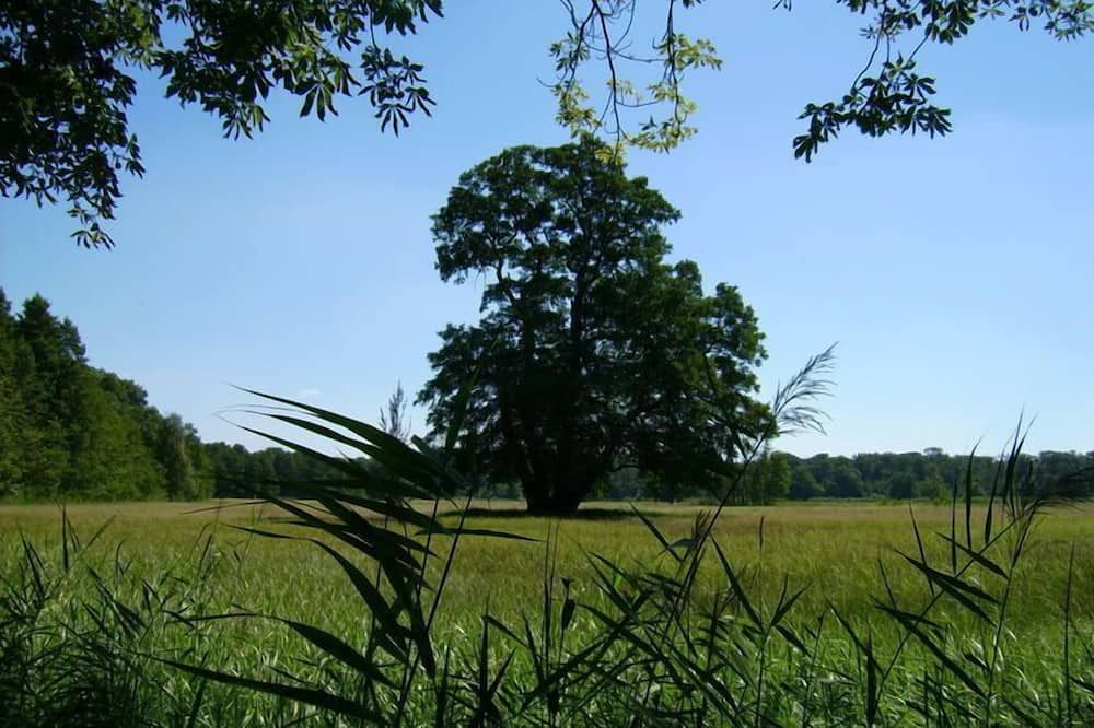 Outdoor view