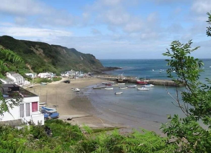 Other Photo