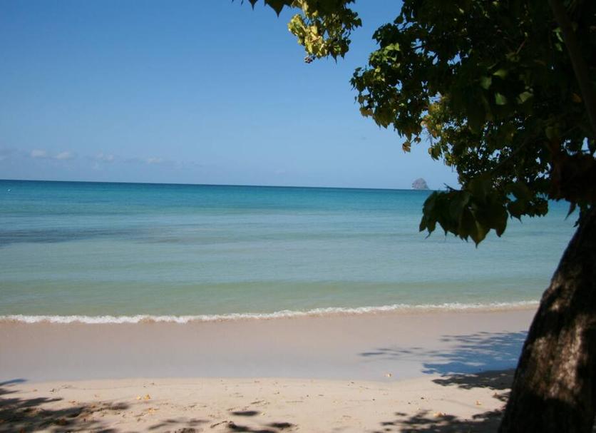 Beach Photo