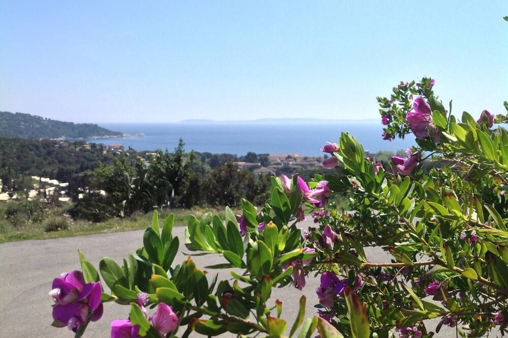 Outdoor view
