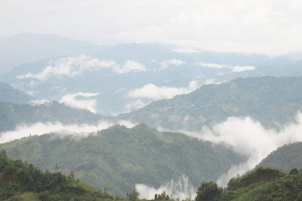 Outdoor view