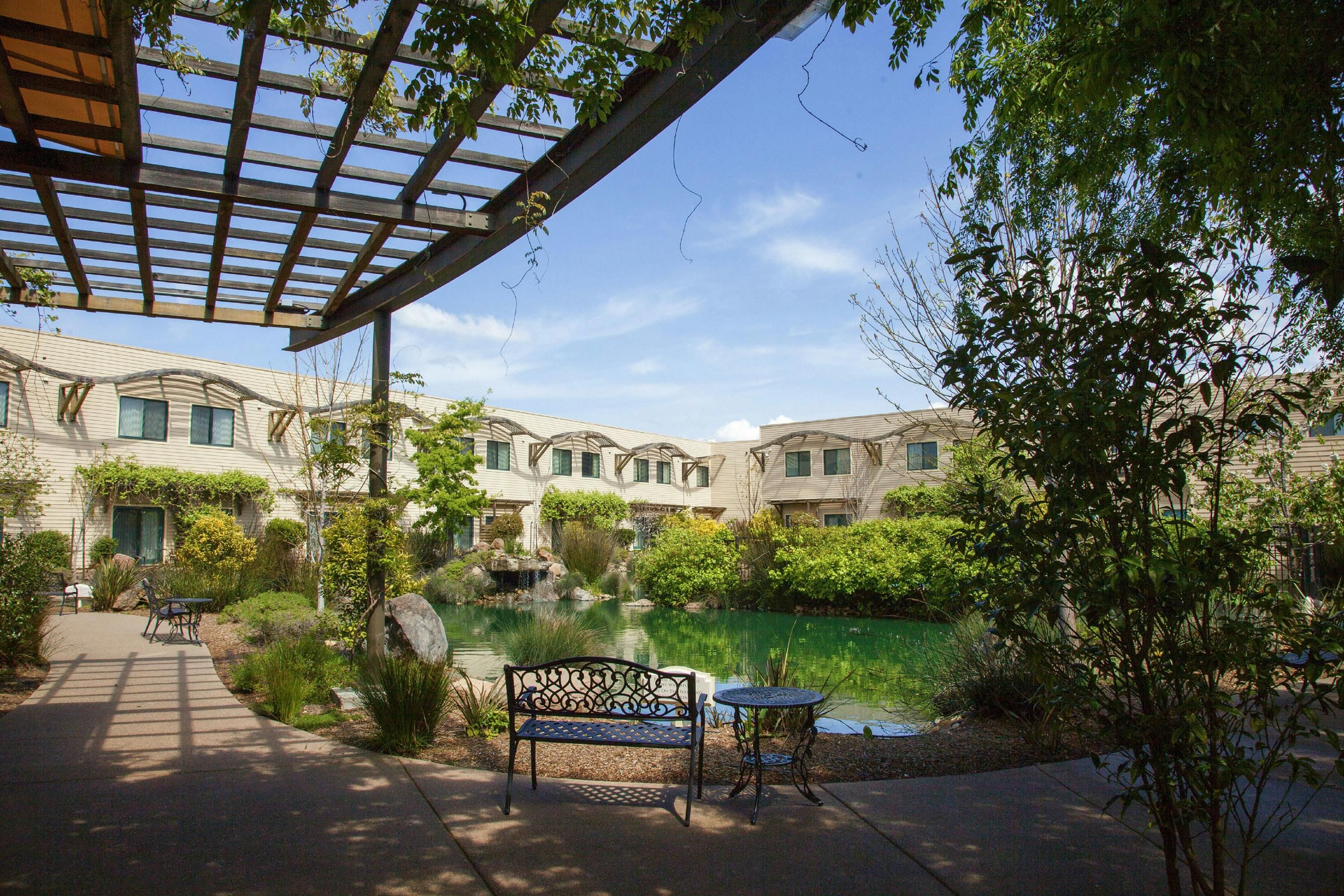 Patio Photo