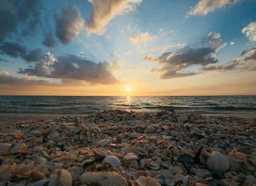 Beach Photo