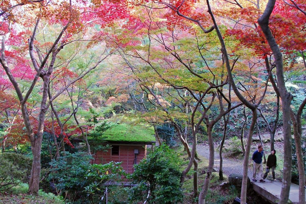 Outdoor view