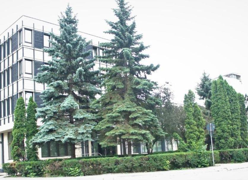 Other Photo