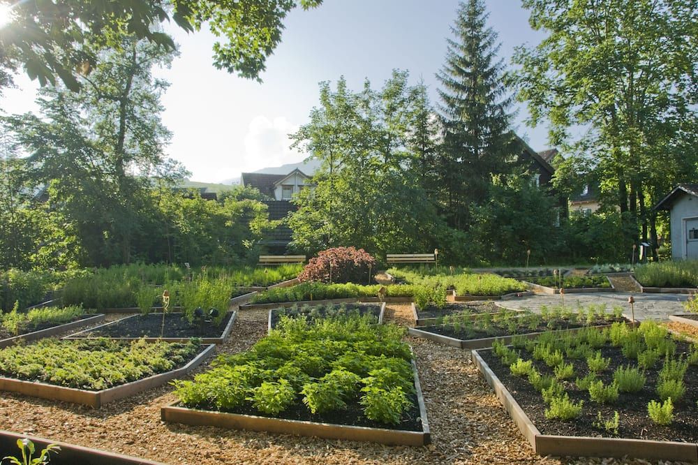 Outdoor view
