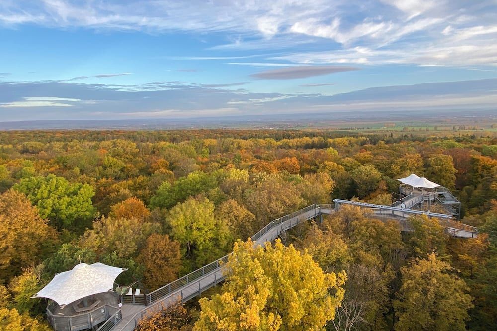 Outdoor view