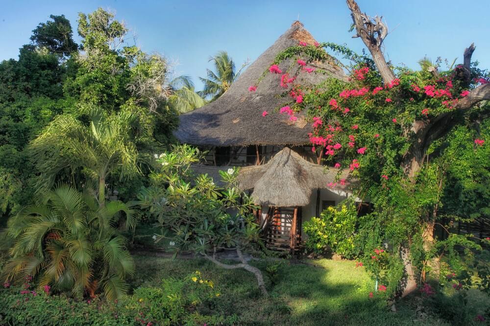 Outdoor view
