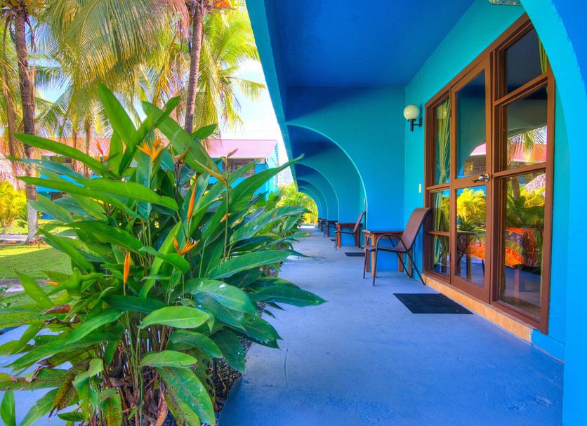 Other Photo
