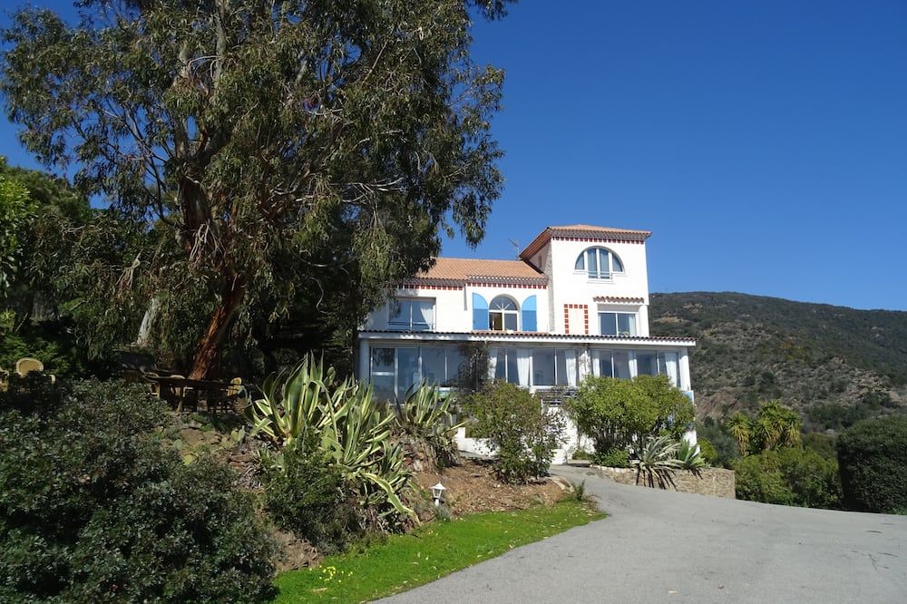 Other Photo