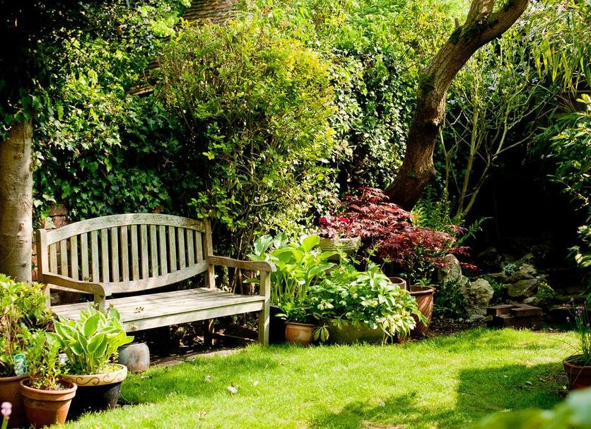 Patio Photo