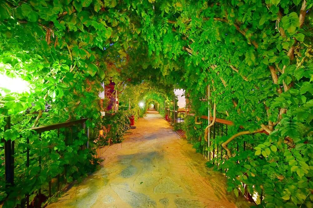 Outdoor view