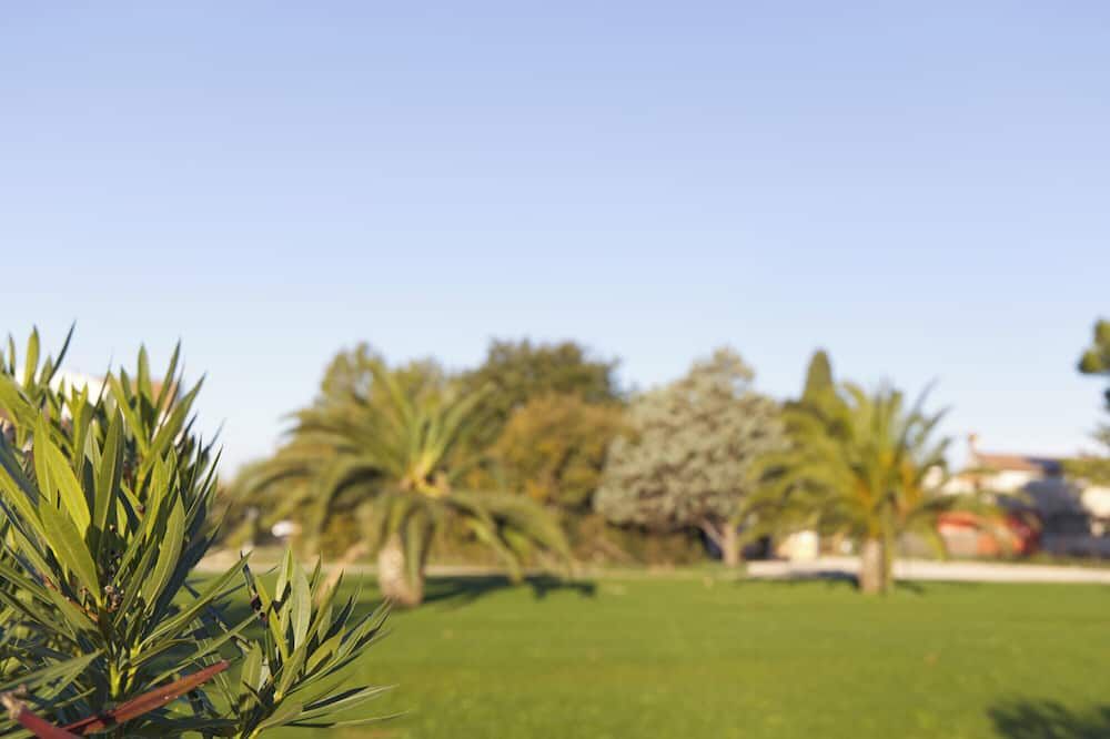 Outdoor view