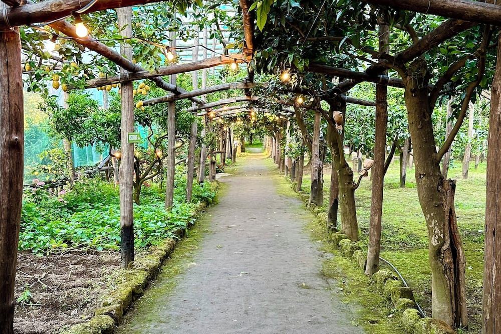 Outdoor view