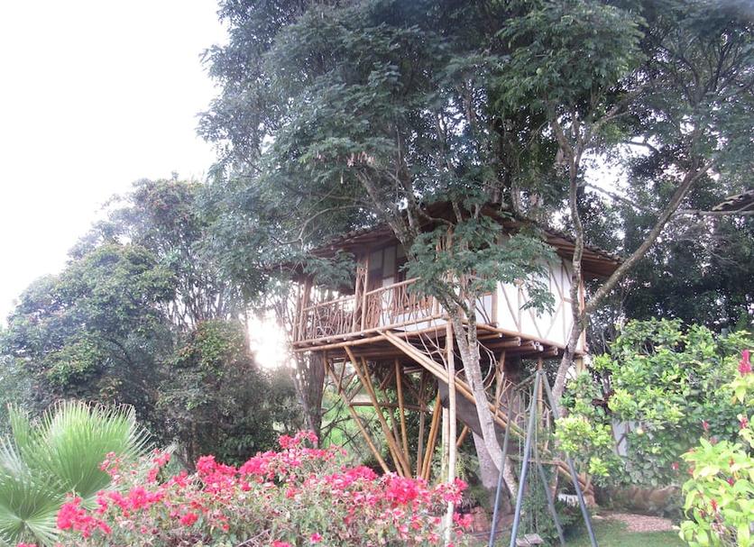 Outdoor view Photo