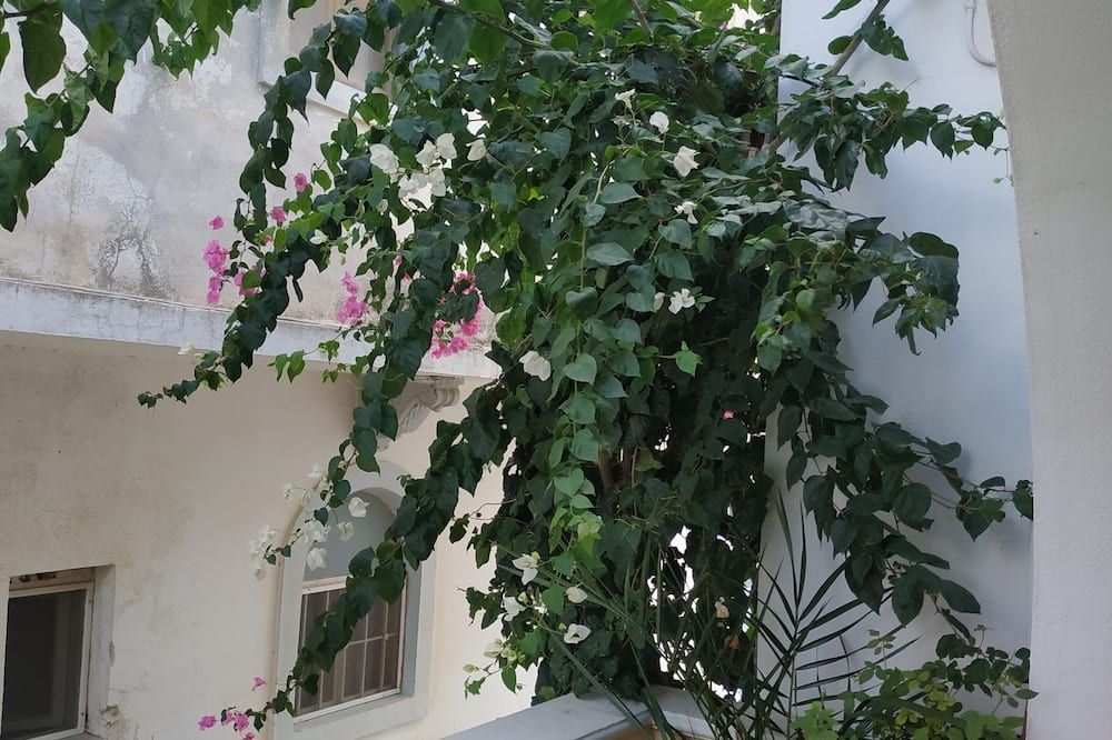 Outdoor view