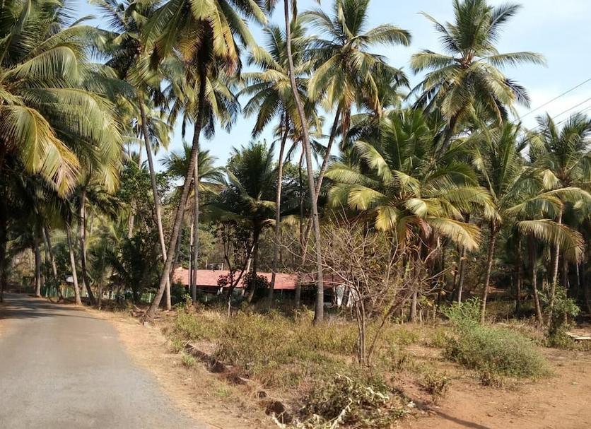 Outdoor view Photo