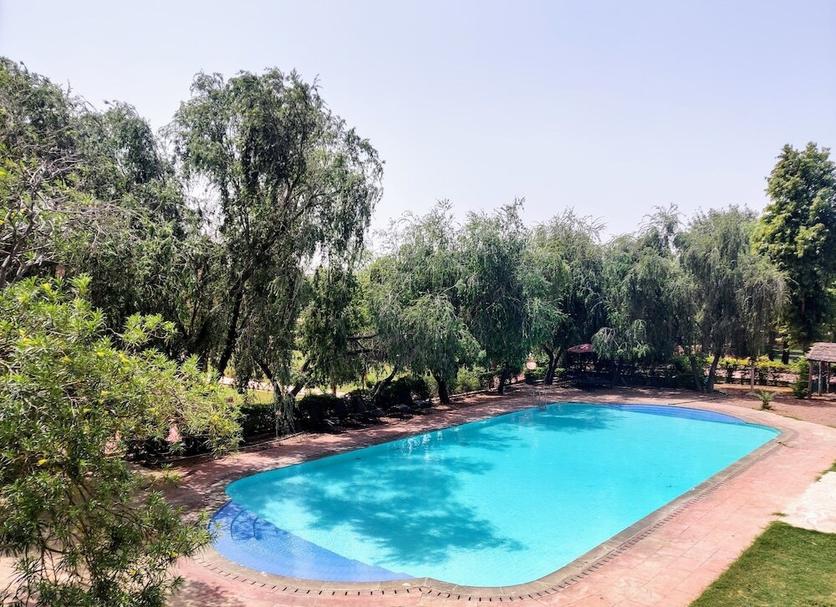 Pool Photo