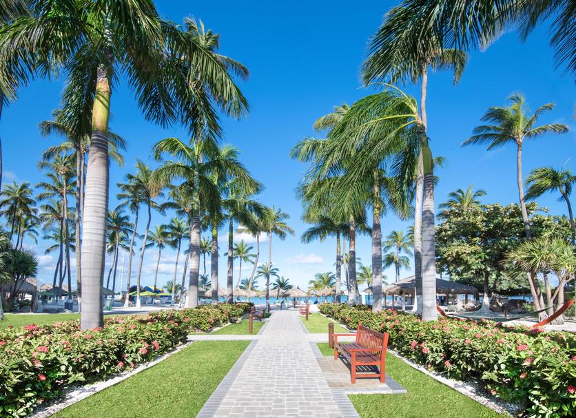Outdoor view Photo