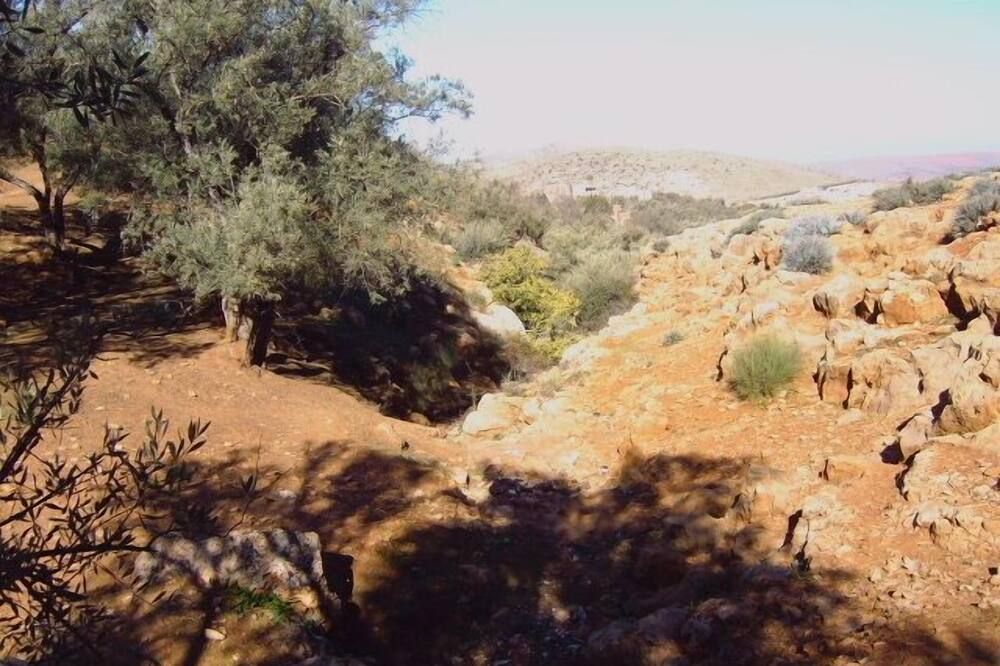 Outdoor view