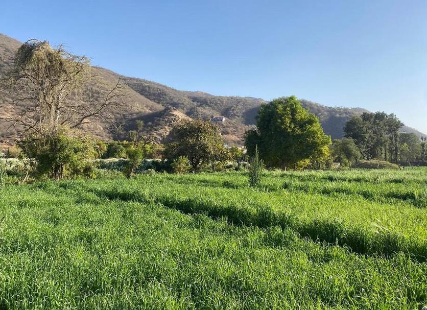 Outdoor view Photo