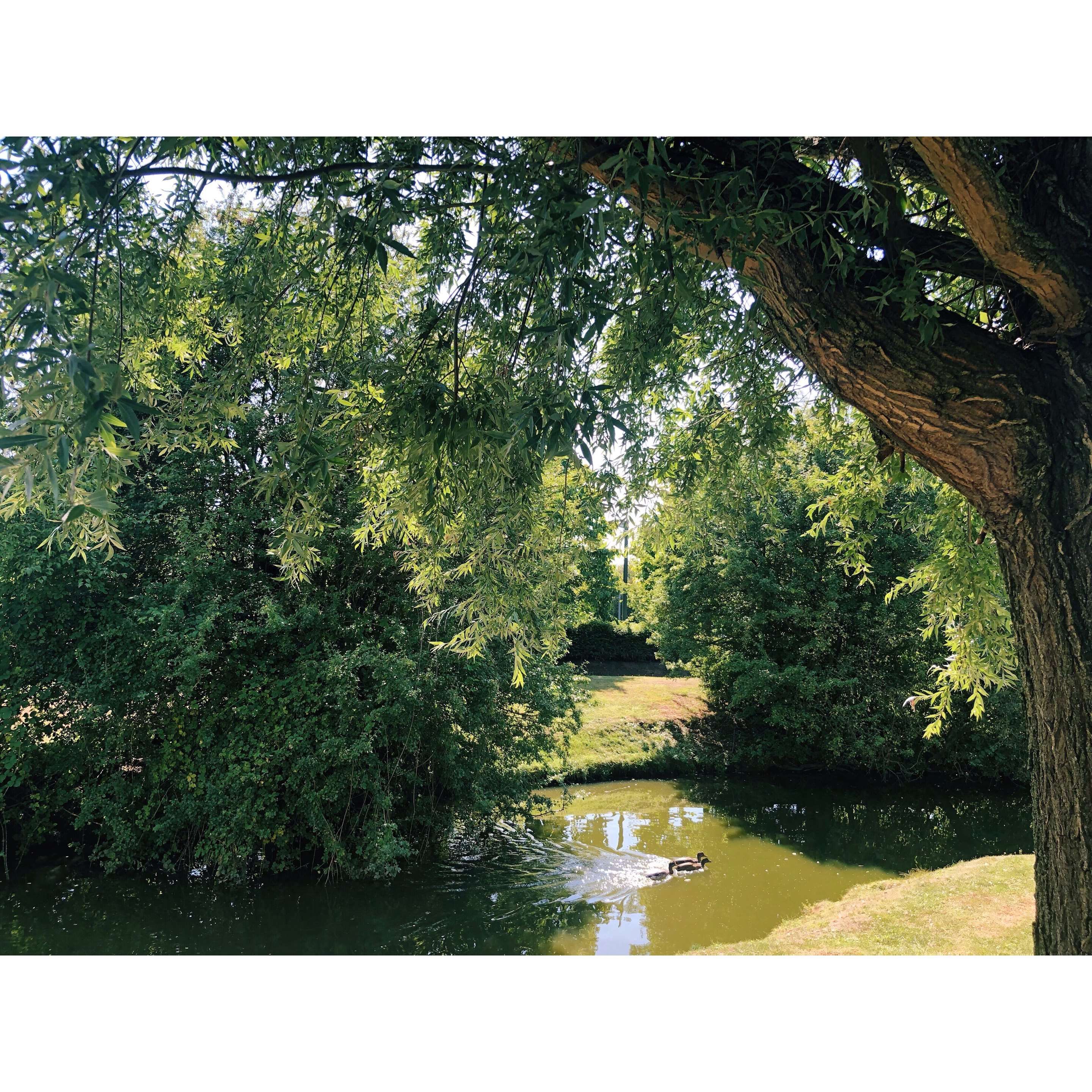 Outdoor view