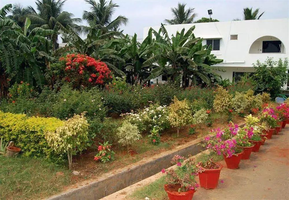 Outdoor view