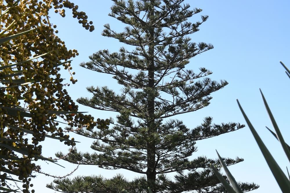 Outdoor view