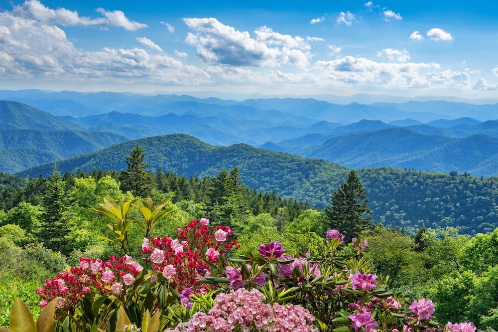 Outdoor view