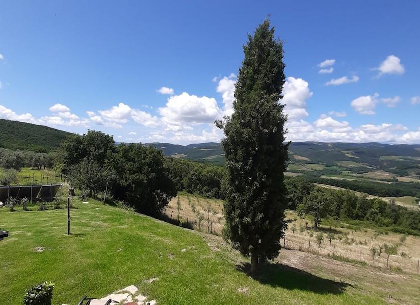 Outdoor view Photo