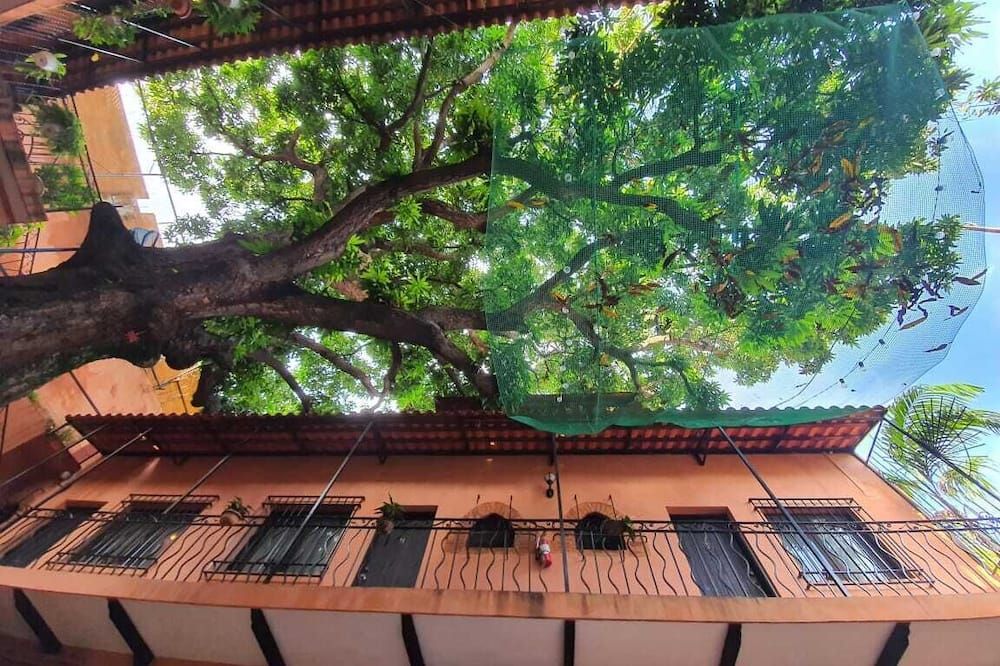 Outdoor view