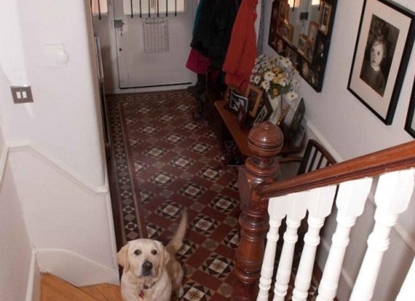 Stairs Photo