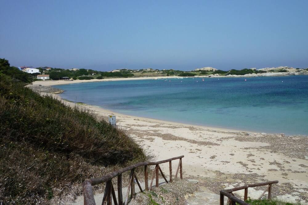 Beach Photo
