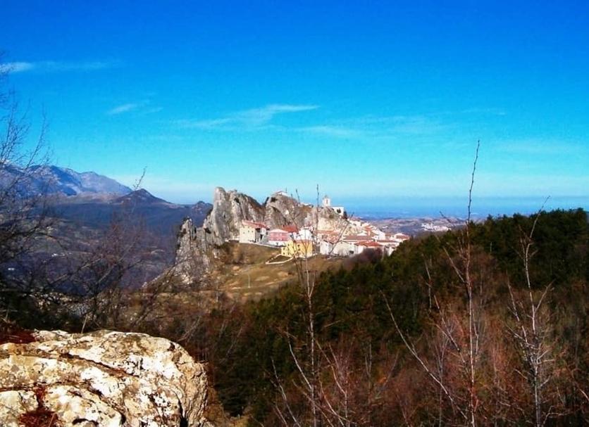 Other Photo