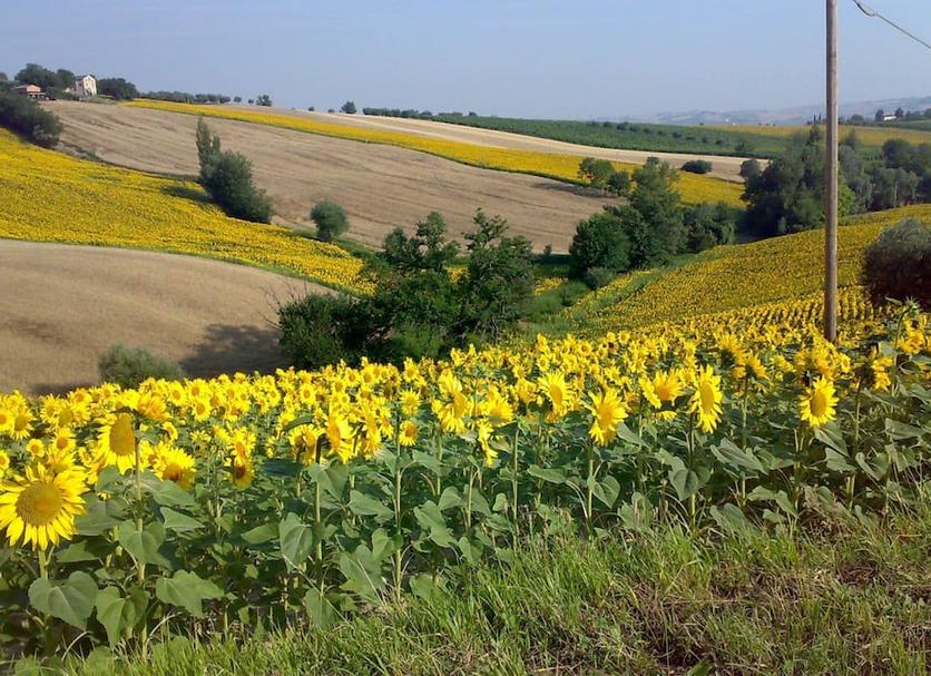 Outdoor view Photo