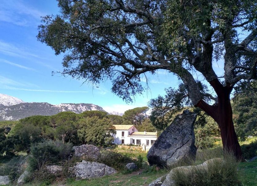 Outdoor view Photo
