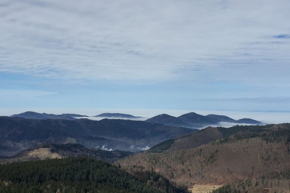 Outdoor view