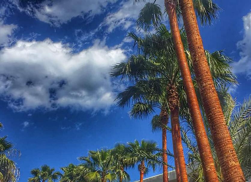Outdoor view Photo