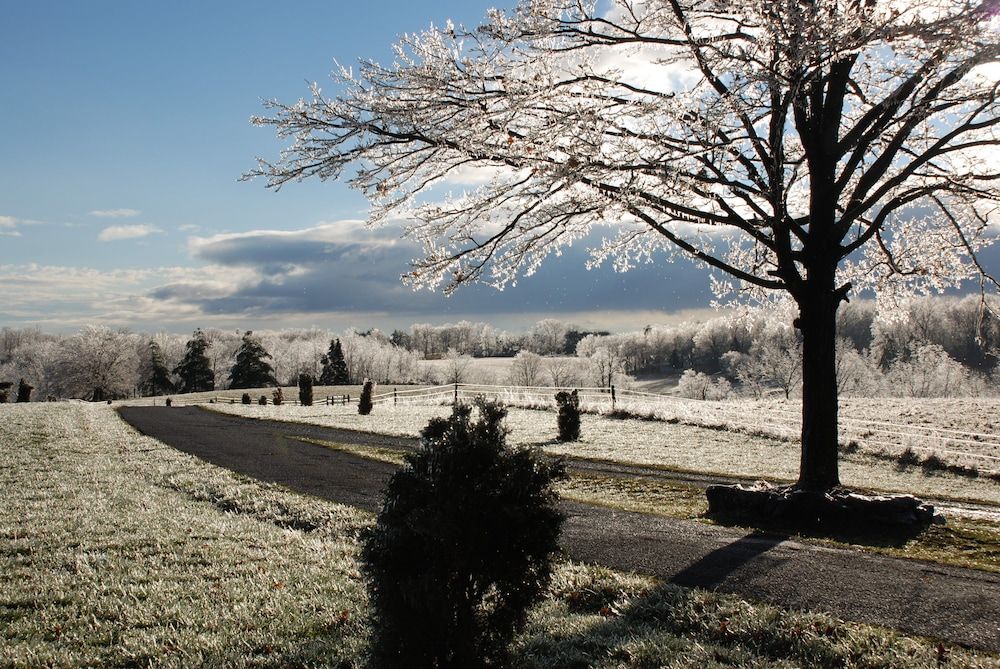 Outdoor view