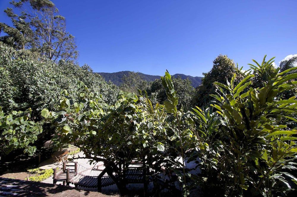 Outdoor view