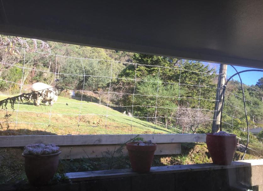 Outdoor view Photo