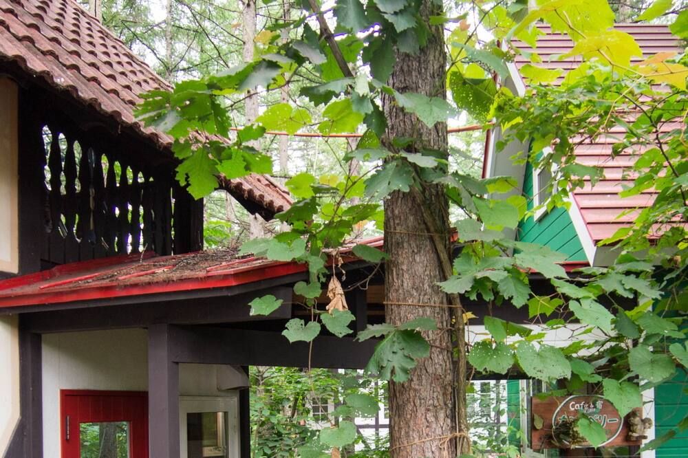 Outdoor view