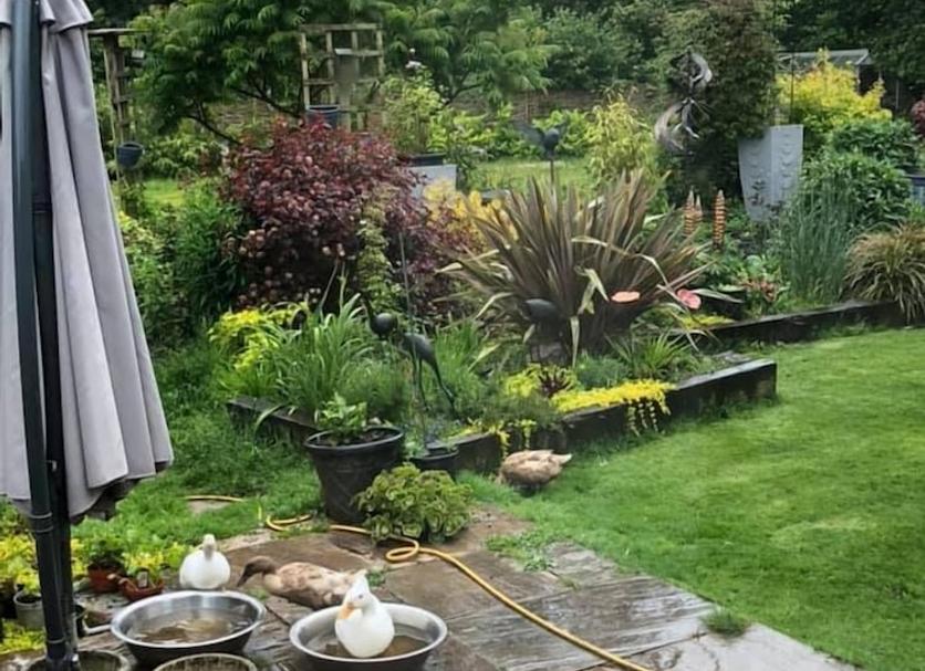 Outdoor view Photo