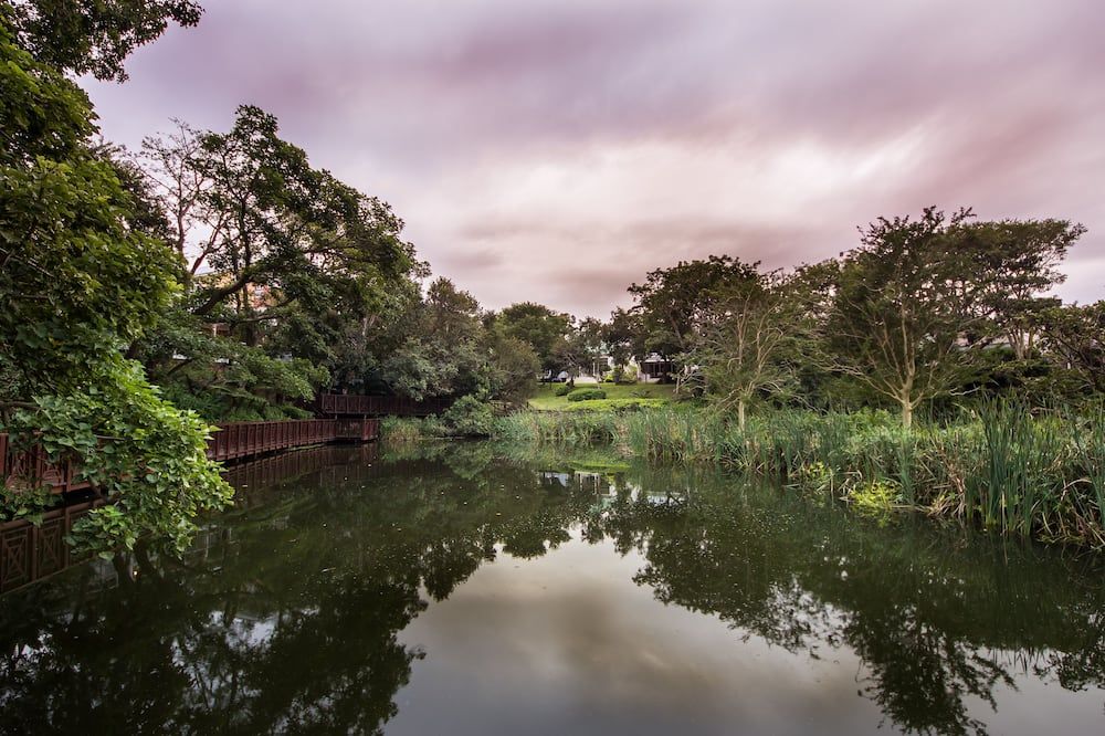 Outdoor view Photo