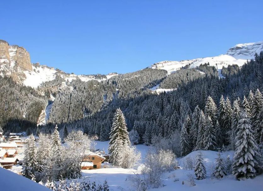 Other Photo
