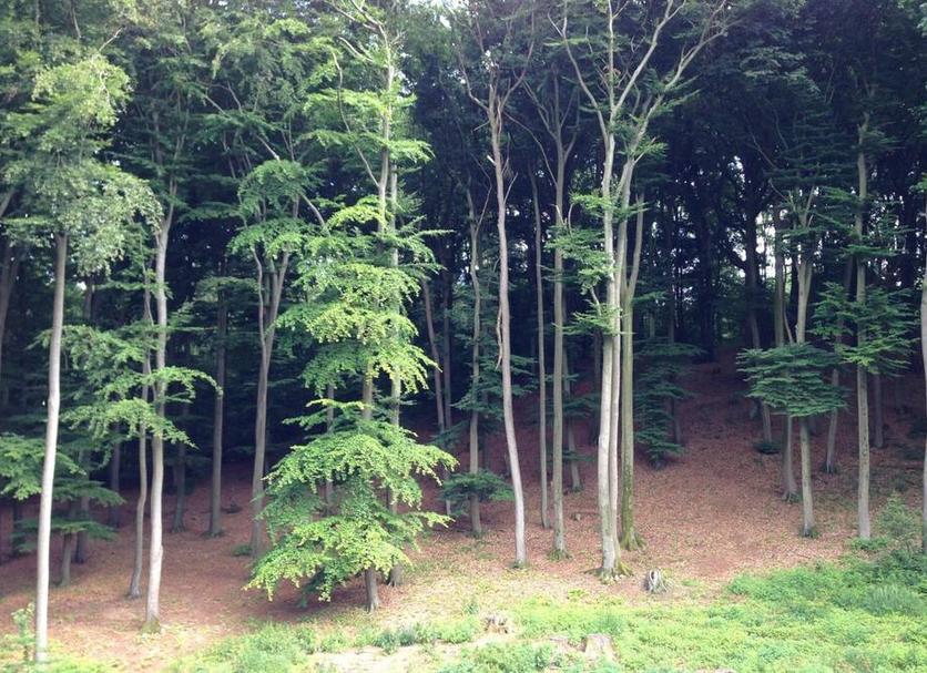 Outdoor view Photo
