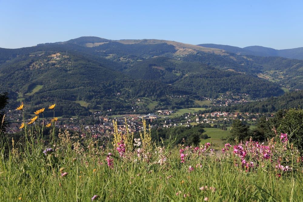Outdoor view