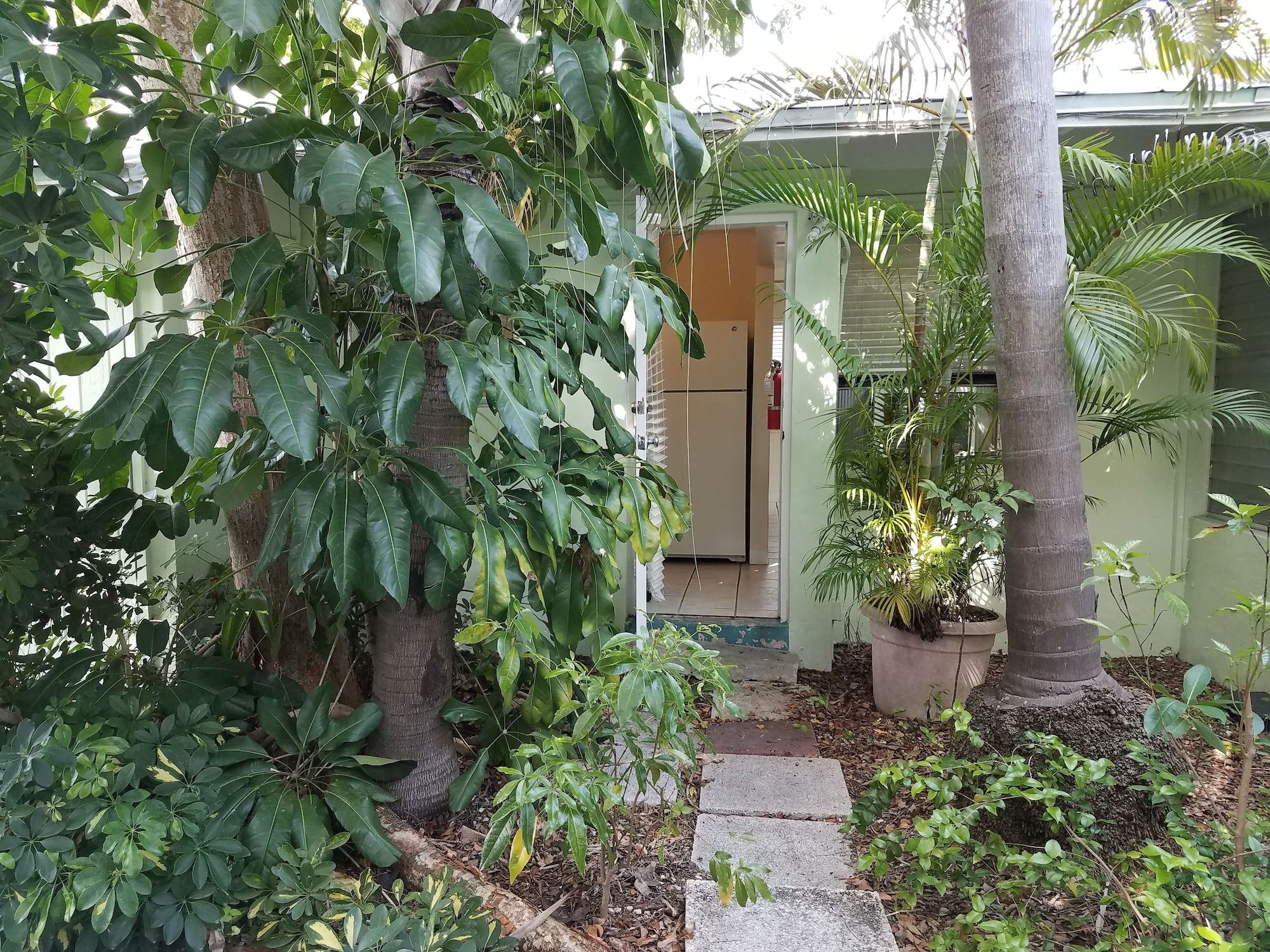 Outdoor view